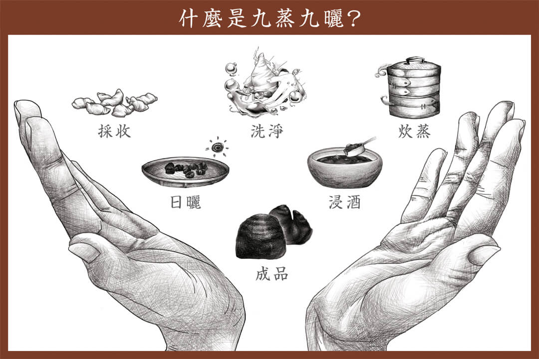 什麼是九蒸九曬？揭開漢方古法炮製的神秘面紗