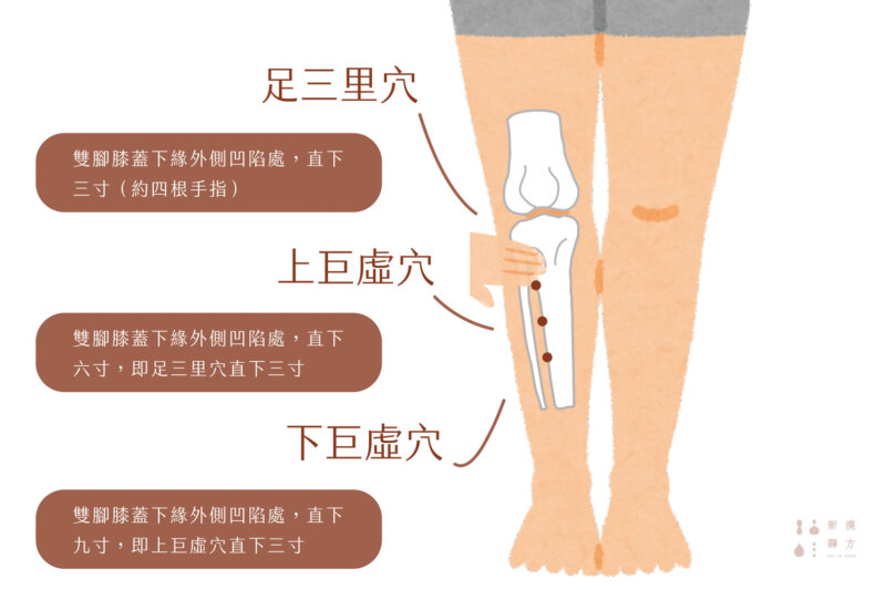 泡腳 足浴 穴道 足三里 上巨虛 下巨虛