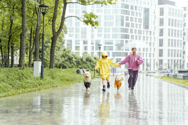 春雨綿綿 人體濕氣也隨之累積 運用漢方食補排除濕氣